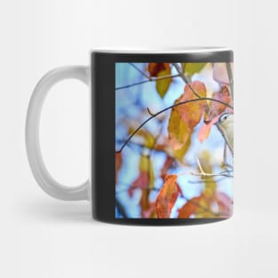 Nuthatch and Autumn Leaves Mug